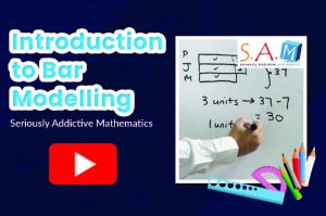 Introduction to Bar Modelling